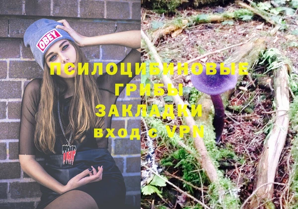 a pvp Киренск