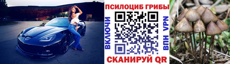Псилоцибиновые грибы Psilocybe  Купить закладки  Минусинск 