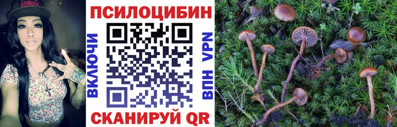 Псилоцибиновые грибы мухоморы Минусинск
